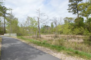 Neuse River Trail